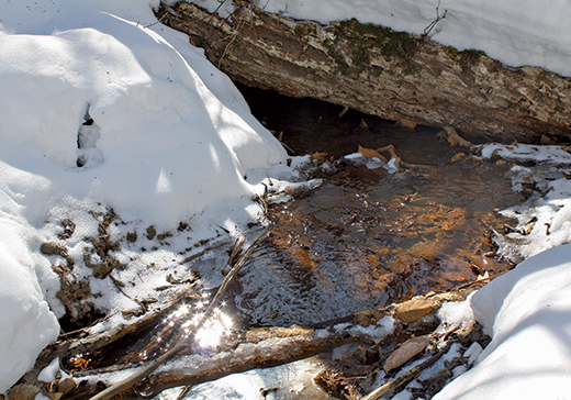 Ruisseau